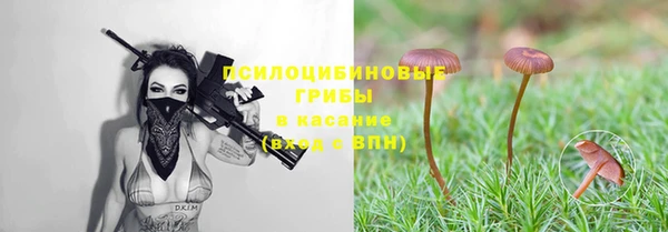ГАЛЛЮЦИНОГЕННЫЕ ГРИБЫ Переславль-Залесский